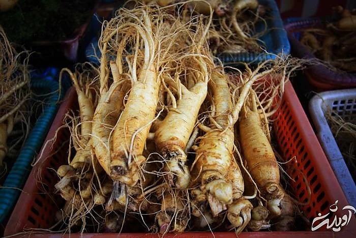 جینسینگ برای پوست